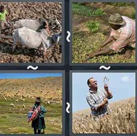 4 Pics 1 Word Levels Farmer