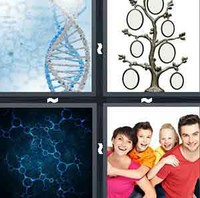4 Pics 1 Word Levels Genetics