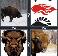 4 Pics 1 Word Levels Bison