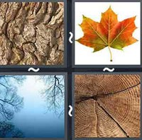 4 Pics 1 Word Levels Tree
