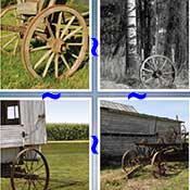 Whats the Word Wagon