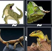 4 Pics 1 Word Levels Lizard