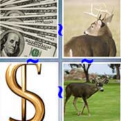 Whats the Word Buck