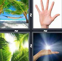 4 Pics 1 Word Palm