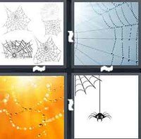 4 Pics 1 Word Levels Cobweb