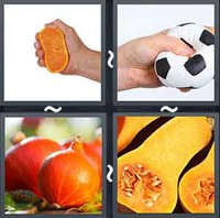 4 Pics 1 Word Levels Squash