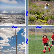 Whats the Word Field