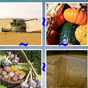 Whats the Word Harvest
