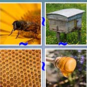 Whats the Word Honey