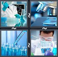 4 Pics 1 Word Levels Lab
