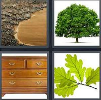 4 Pics 1 Word Oak