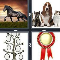 4 Pics 1 Word Levels Pedigree