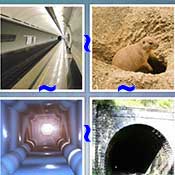 Whats the Word Tunnel