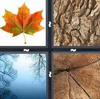 4 Pics 1 Word Levels Tree