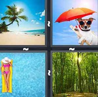 4 Pics 1 Word Summer