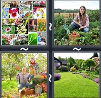 4 Pics 1 Word Levels Garden