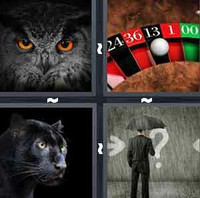 4 Pics 1 Word Levels Black