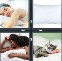 4 Pics 1 Word Levels Pillow