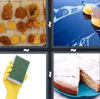 4 Pics 1 Word Levels Sponge