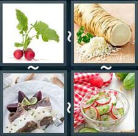 4 Pics 1 Word Levels Radish
