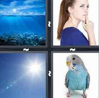 4 Pics 1 Word Blue