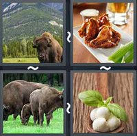 4 Pics 1 Word Levels Buffalo