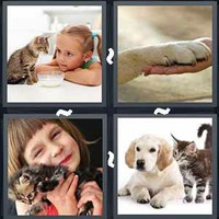 4 Pics 1 Word Levels Pet