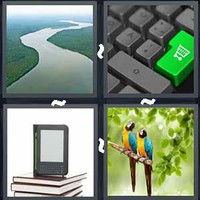4 Pics 1 Word Levels Amazon
