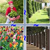 Whats the Word Garden