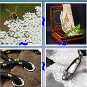 Whats the Word Lace