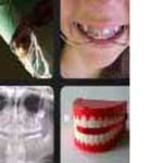 What's that Word Dentist