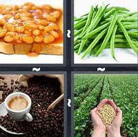 4 Pics 1 Word Levels Beans