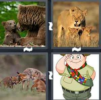 4 Pics 1 Word Cub