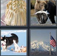 4 Pics 1 Word Levels Alaska
