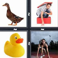 4 Pics 1 Word Levels Duck