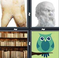 4 Pics 1 Word Wisdom