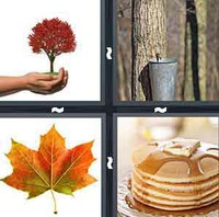 4 Pics 1 Word Levels Maple