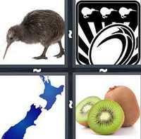 4 Pics 1 Word Levels Kiwi