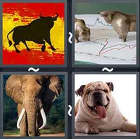4 Pics 1 Word Bull