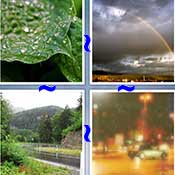 Whats the Word Rain
