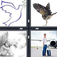 4 Pics 1 Word Wing