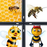 4 Pics 1 Word Levels Bee