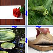 Whats the Word Leaf