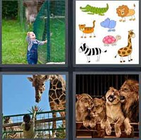 4 Pics 1 Word Zoo