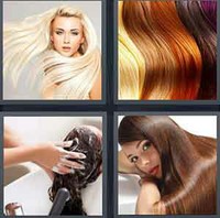 4 Pics 1 Word Levels Hair