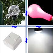Whats the Word Light
