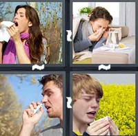 4 Pics 1 Word Levels Sneeze