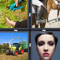 4 Pics 1 Word Levels Crop