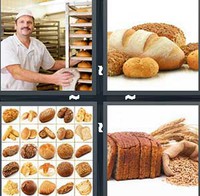 4 Pics 1 Word Levels Bread