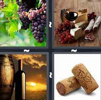 4 Pics 1 Word Levels Wine